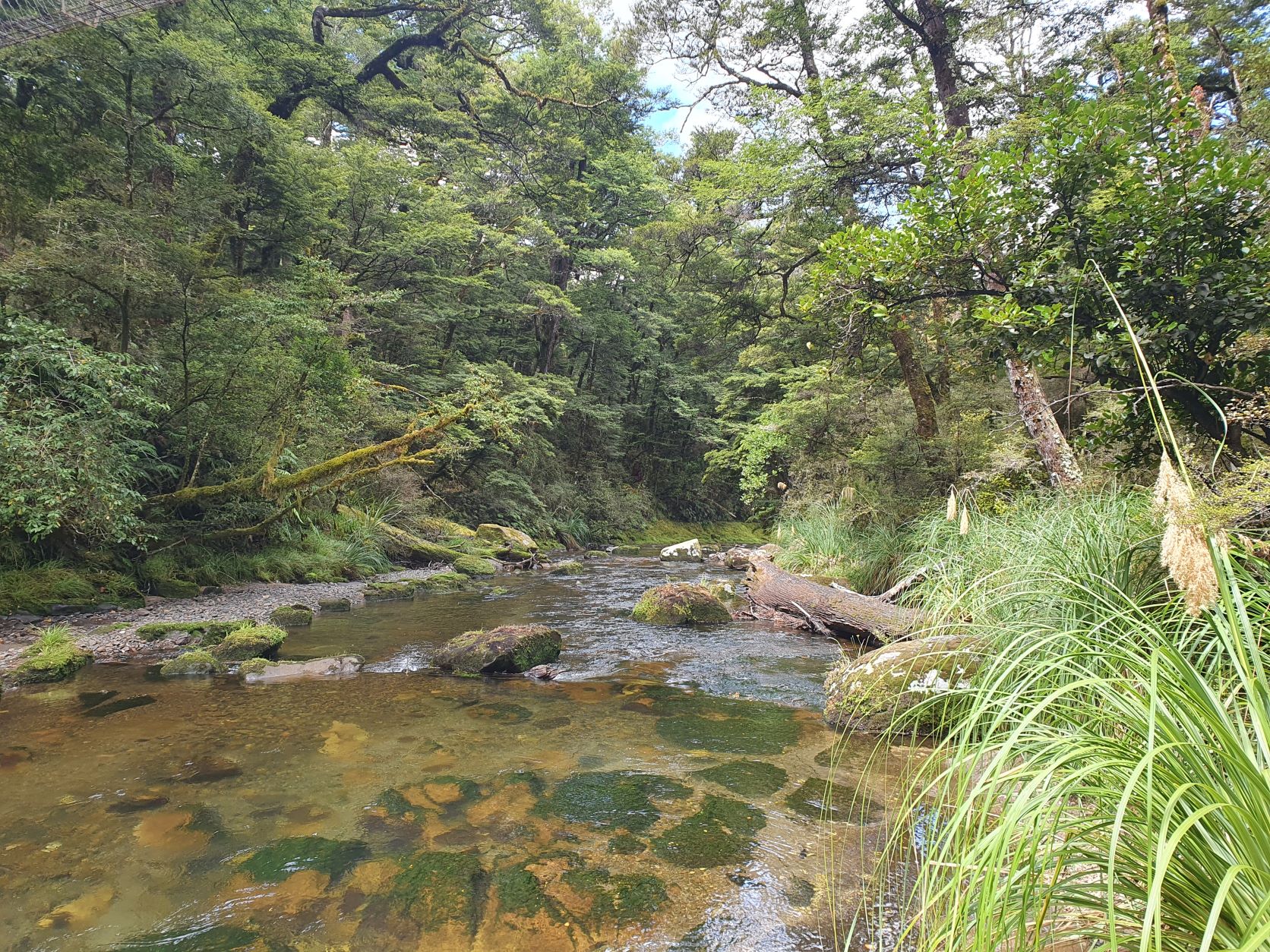 Name:  river 2.jpg
Views: 1236
Size:  793.9 KB