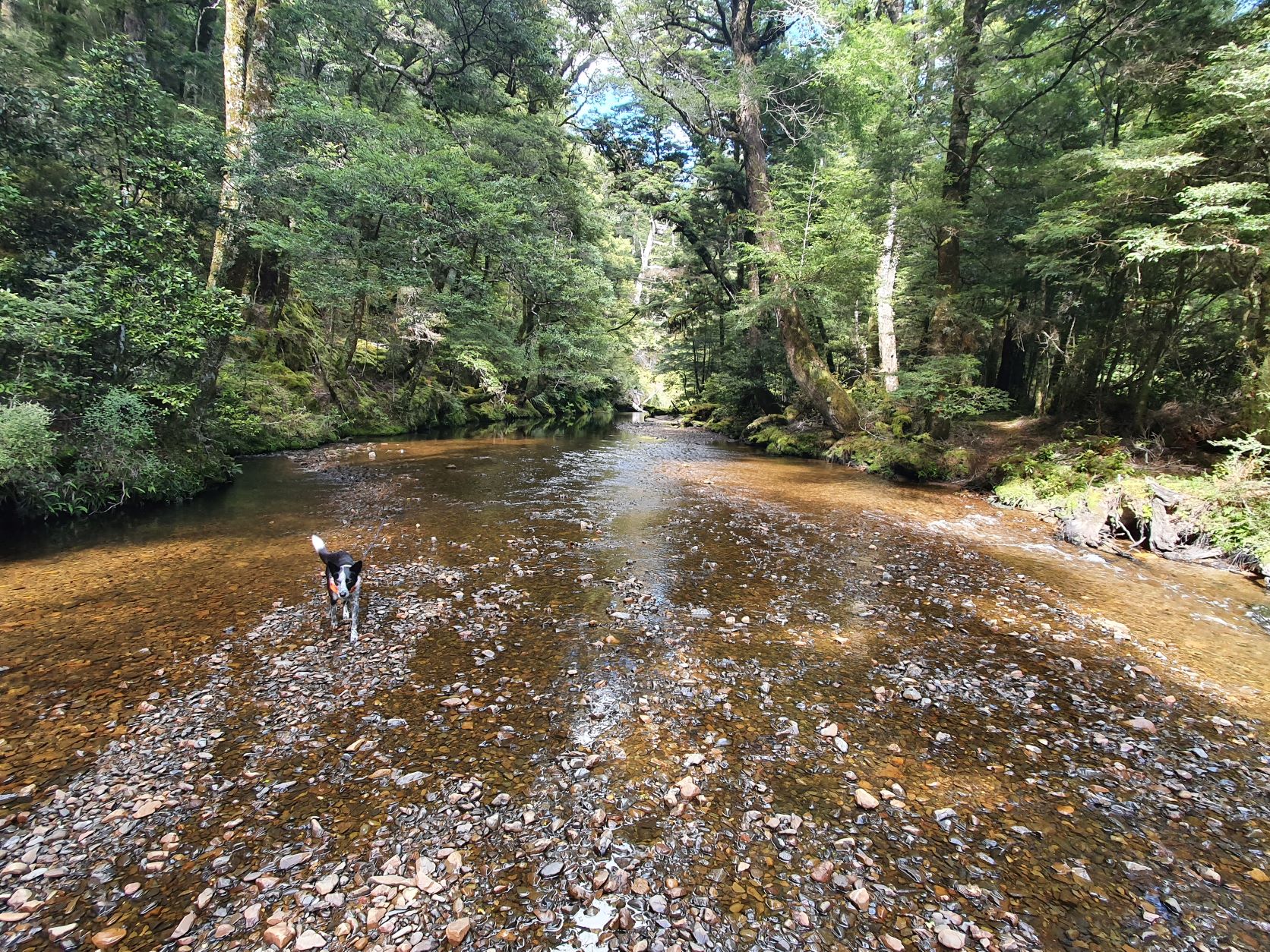 Name:  river 3.jpg
Views: 1224
Size:  834.5 KB