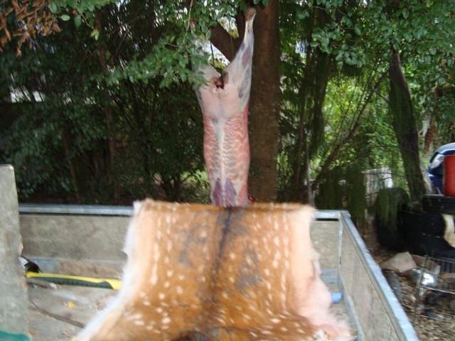 Name:  thumbnail.jpeg
Views: 532
Size:  54.7 KB