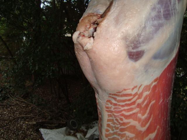 Name:  thumbnail.jpeg
Views: 534
Size:  39.5 KB