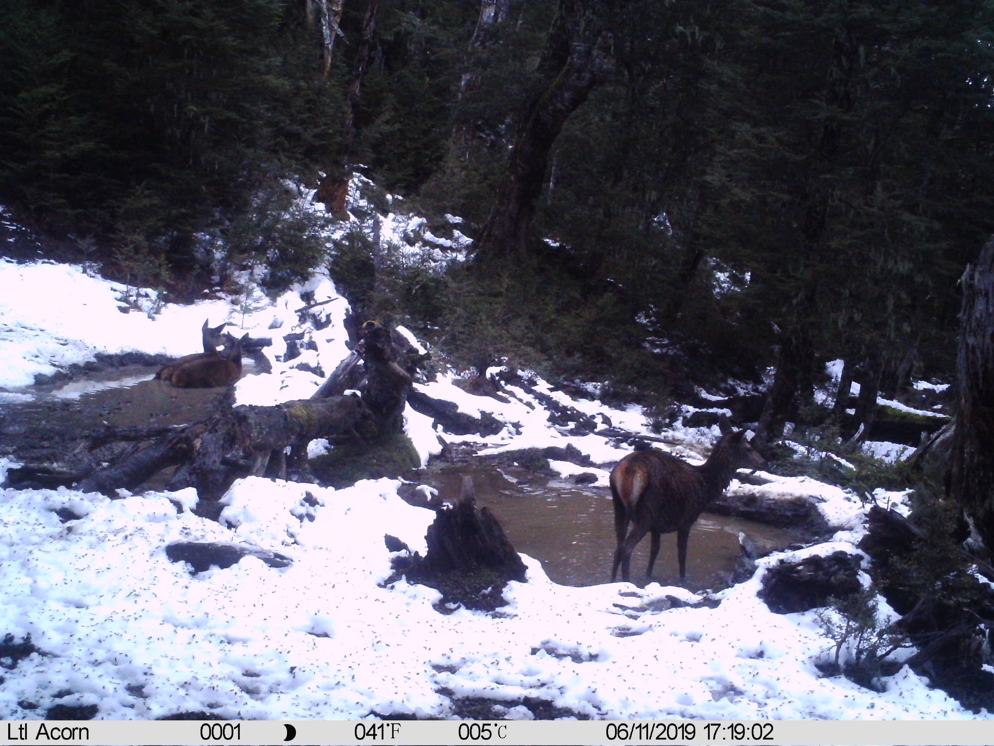 Name:  IMAG0366.JPG
Views: 434
Size:  963.3 KB