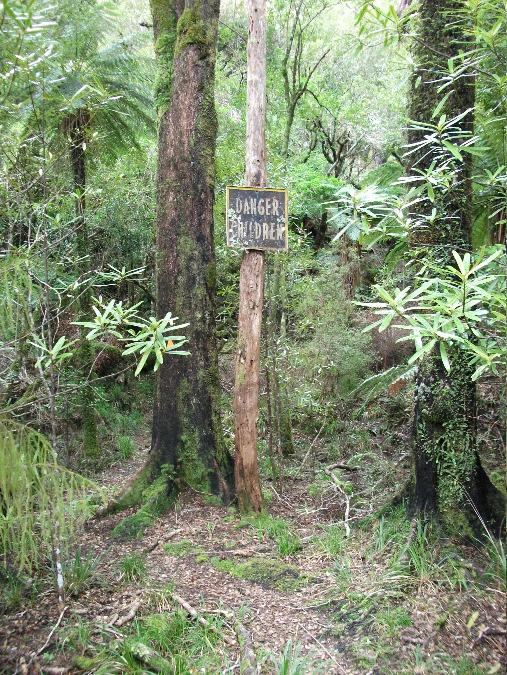 Name:  Tauherenikau Sep 2012 - 21 - Sign at Foot of Block XVI Track.jpg
Views: 441
Size:  1.12 MB