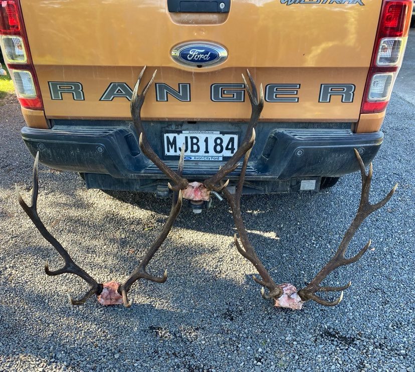 Name:  Gisborne Stags 2022.jpg
Views: 835
Size:  226.1 KB
