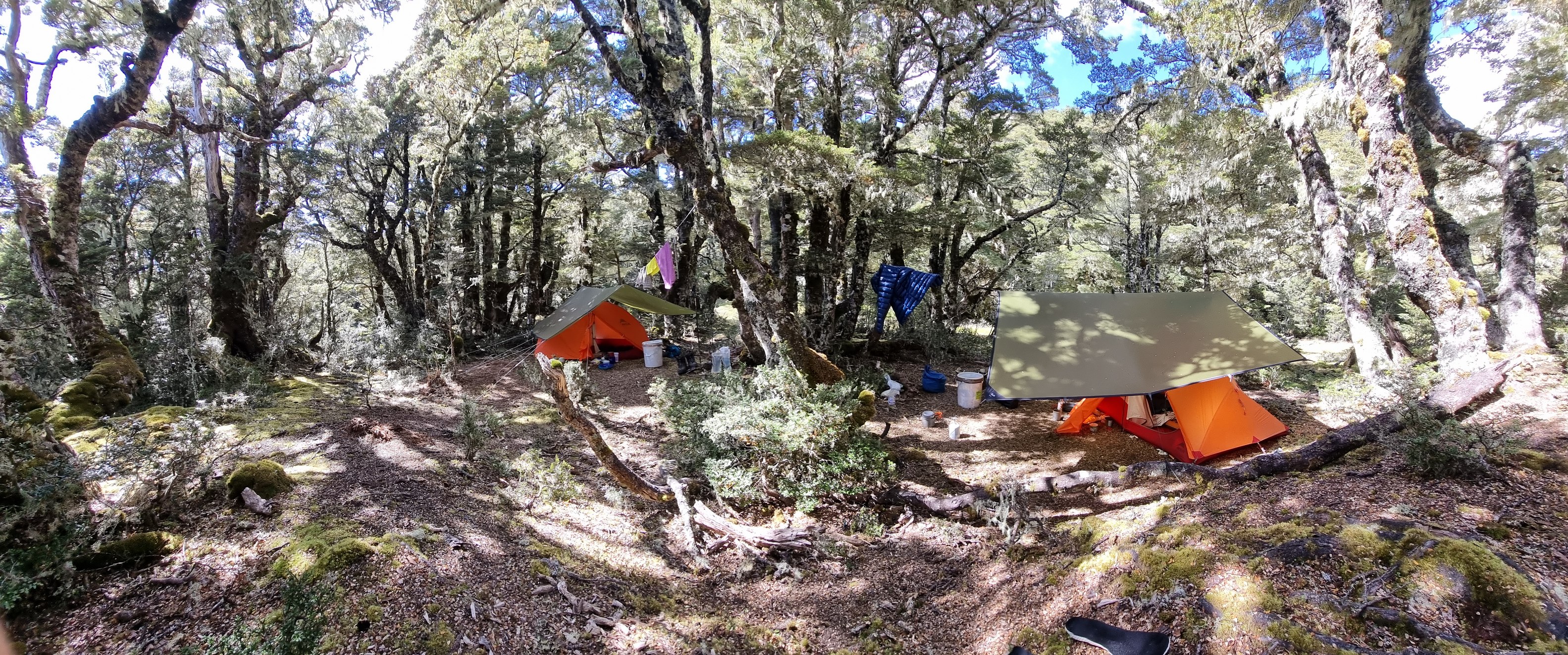 Name:  camp.jpg
Views: 870
Size:  1.90 MB