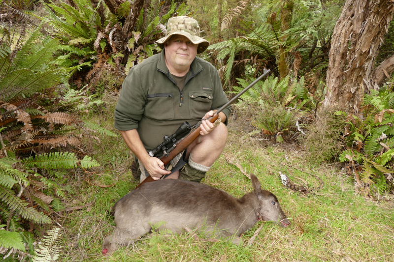 Name:  deer.JPG
Views: 253
Size:  618.9 KB