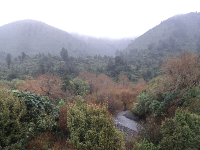 Name:  picture 01 5682.jpg
Views: 913
Size:  165.3 KB