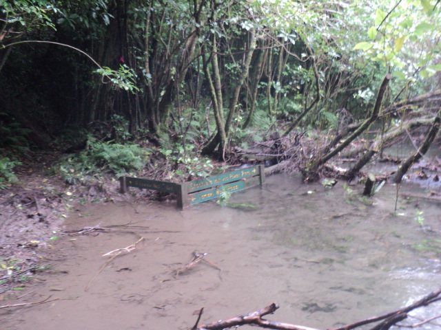 Name:  picture 01 5684.jpg
Views: 859
Size:  164.9 KB