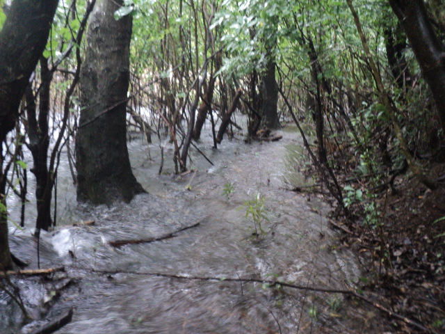 Name:  picture 01 5685.jpg
Views: 830
Size:  164.1 KB