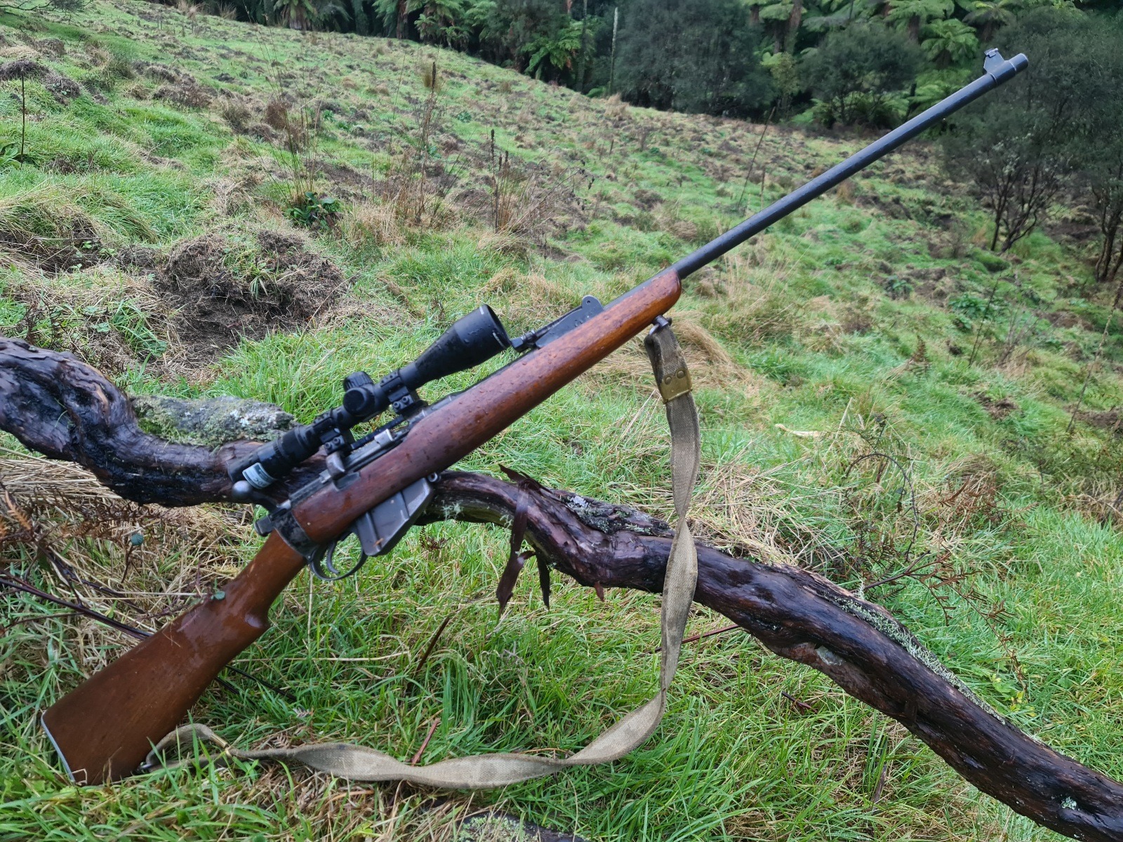 Name:  rifle today.jpg
Views: 193
Size:  989.1 KB