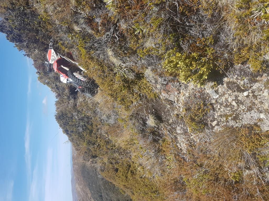 Name:  Steep stuff.jpg
Views: 508
Size:  267.3 KB
