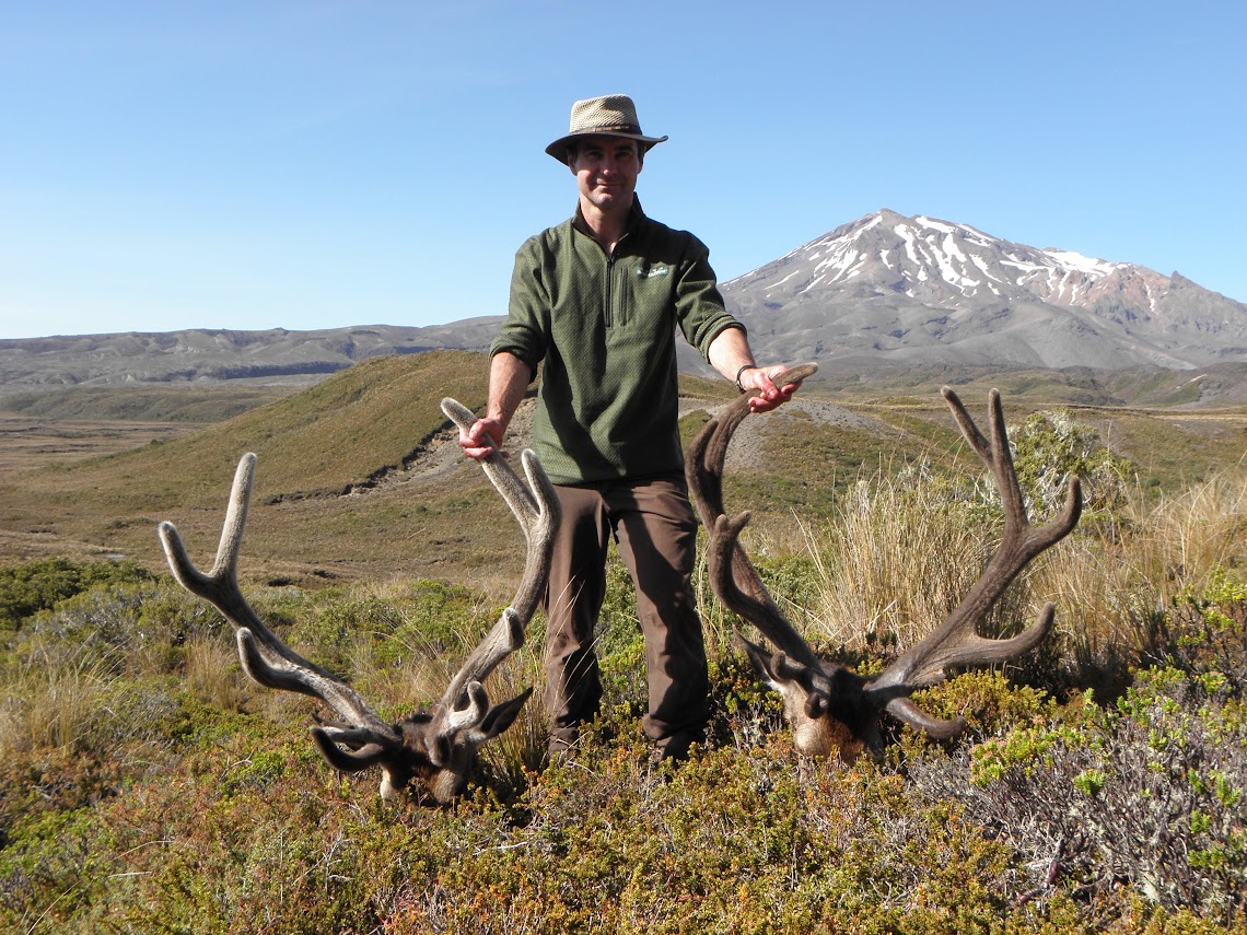 Name:  Tama stags.JPG
Views: 1445
Size:  358.9 KB