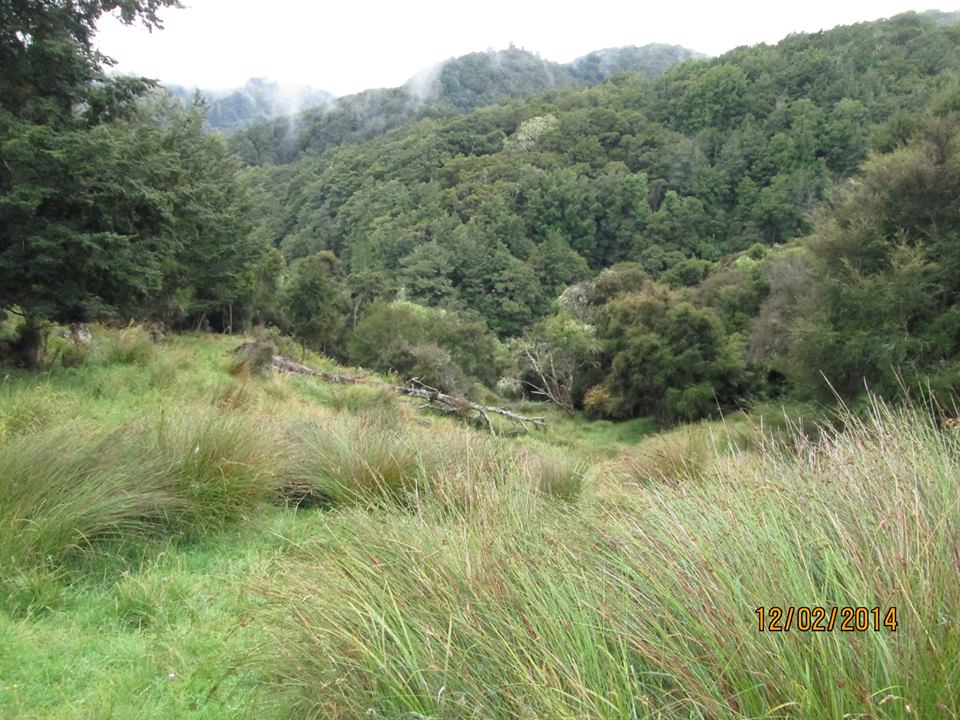 Name:  Morning view 2.jpg
Views: 375
Size:  146.5 KB