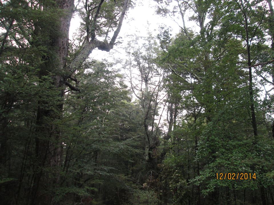 Name:  Morning view 3.jpg
Views: 425
Size:  169.0 KB