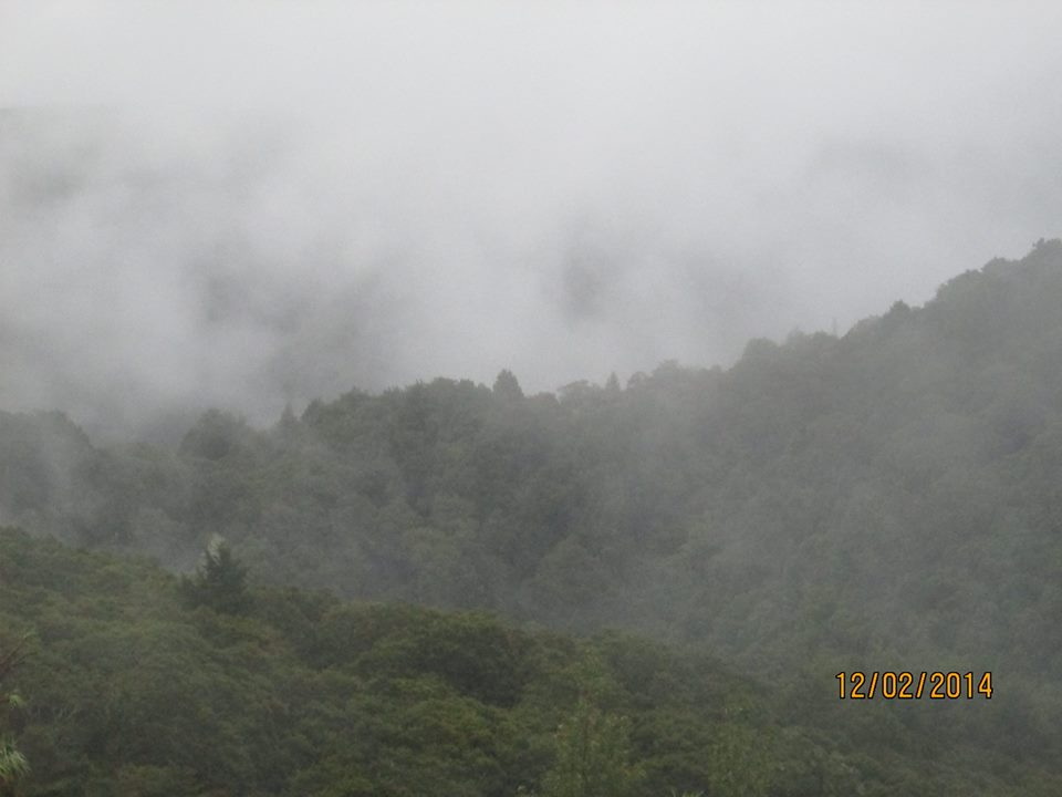 Name:  Morning view.jpg
Views: 413
Size:  50.7 KB