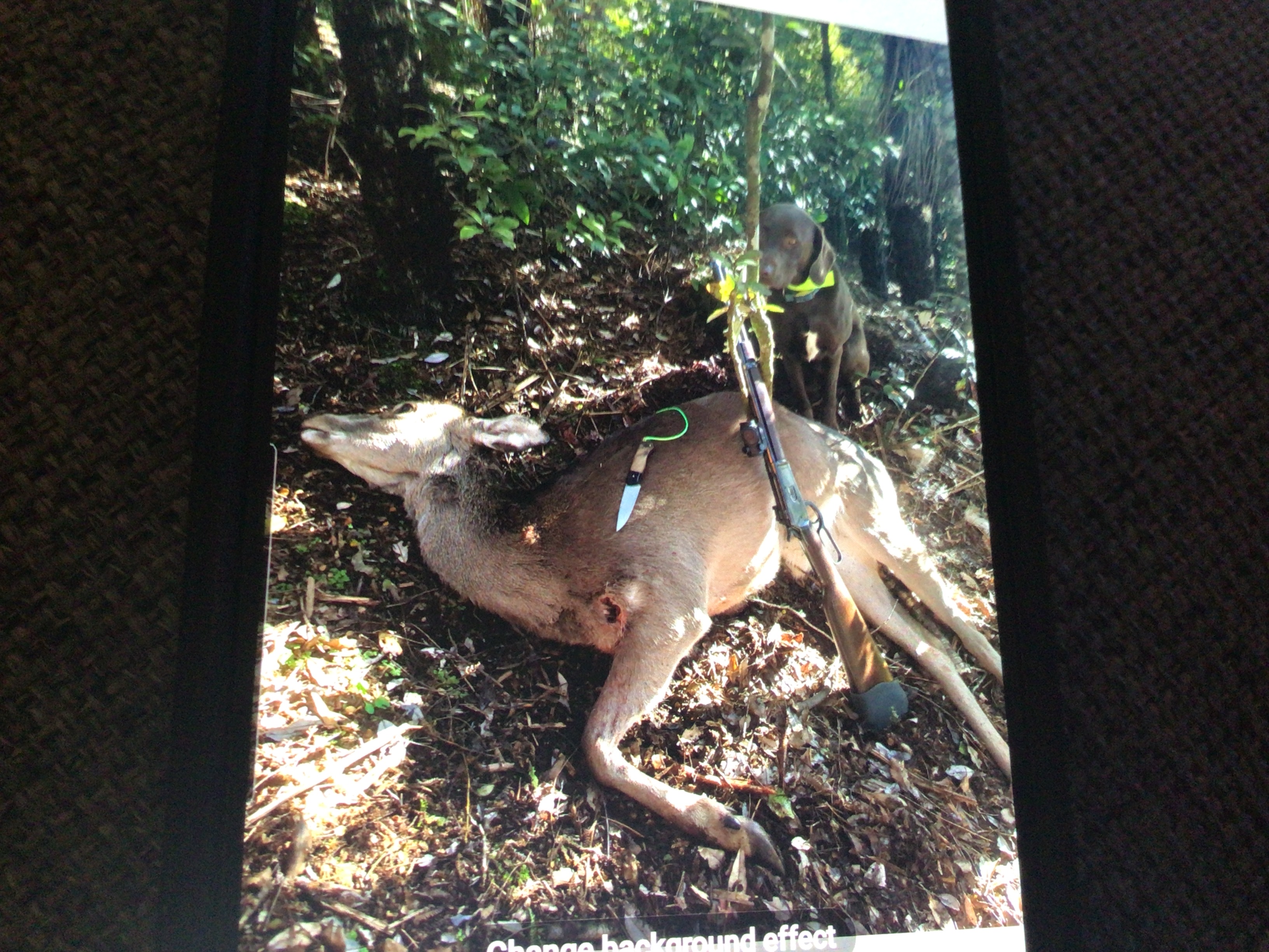 Name:  image.jpg
Views: 280
Size:  1.70 MB