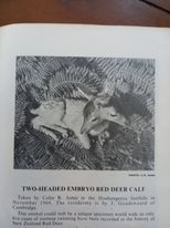 Name:  deer 2.jpg
Views: 439
Size:  7.2 KB