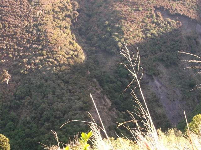 Name:  DSCF0965 (640x480).jpg
Views: 1393
Size:  329.1 KB