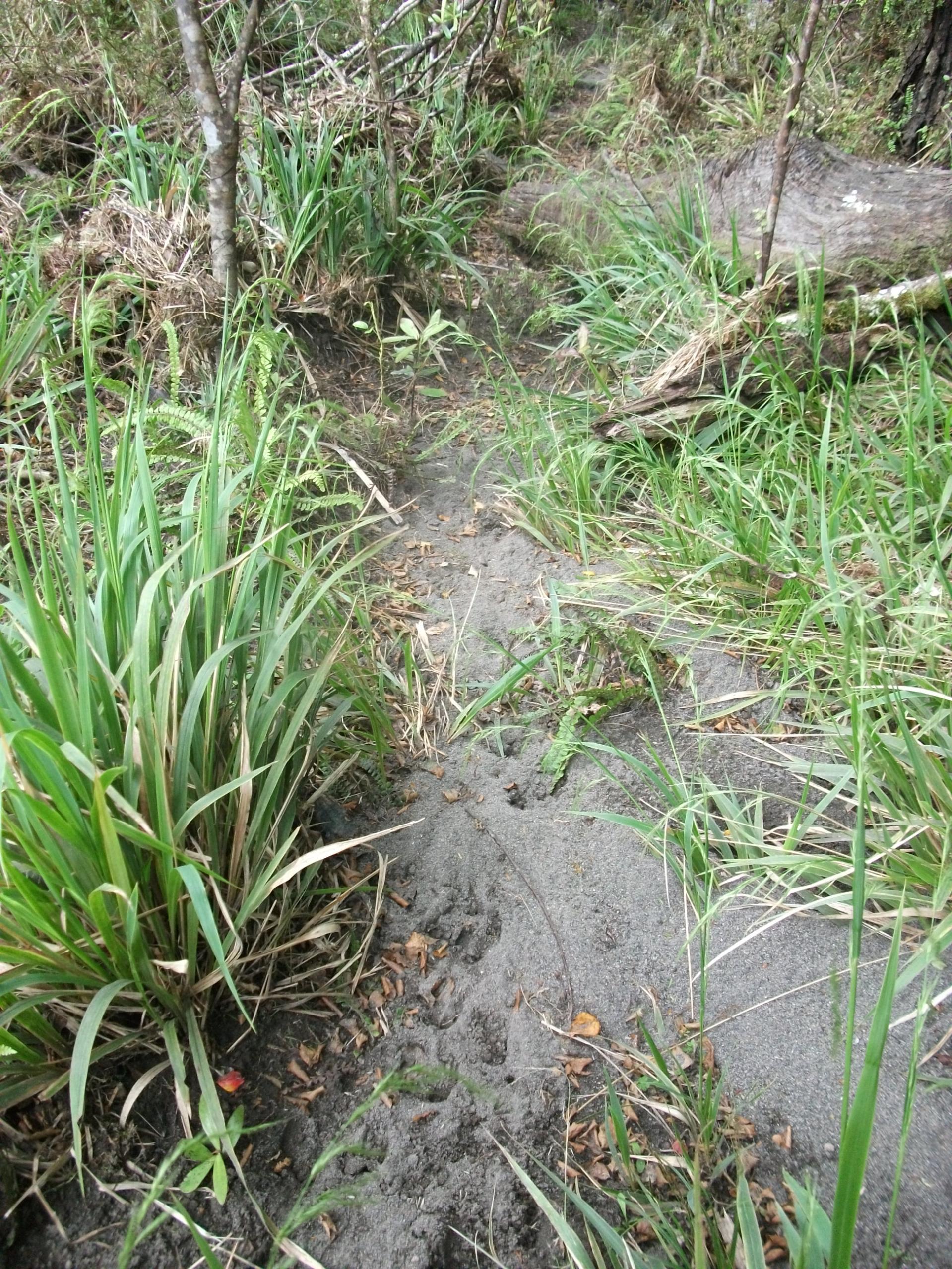 Name:  DSCF1166 - Bottom of Bull Mound Creek sign.jpg
Views: 1616
Size:  977.6 KB