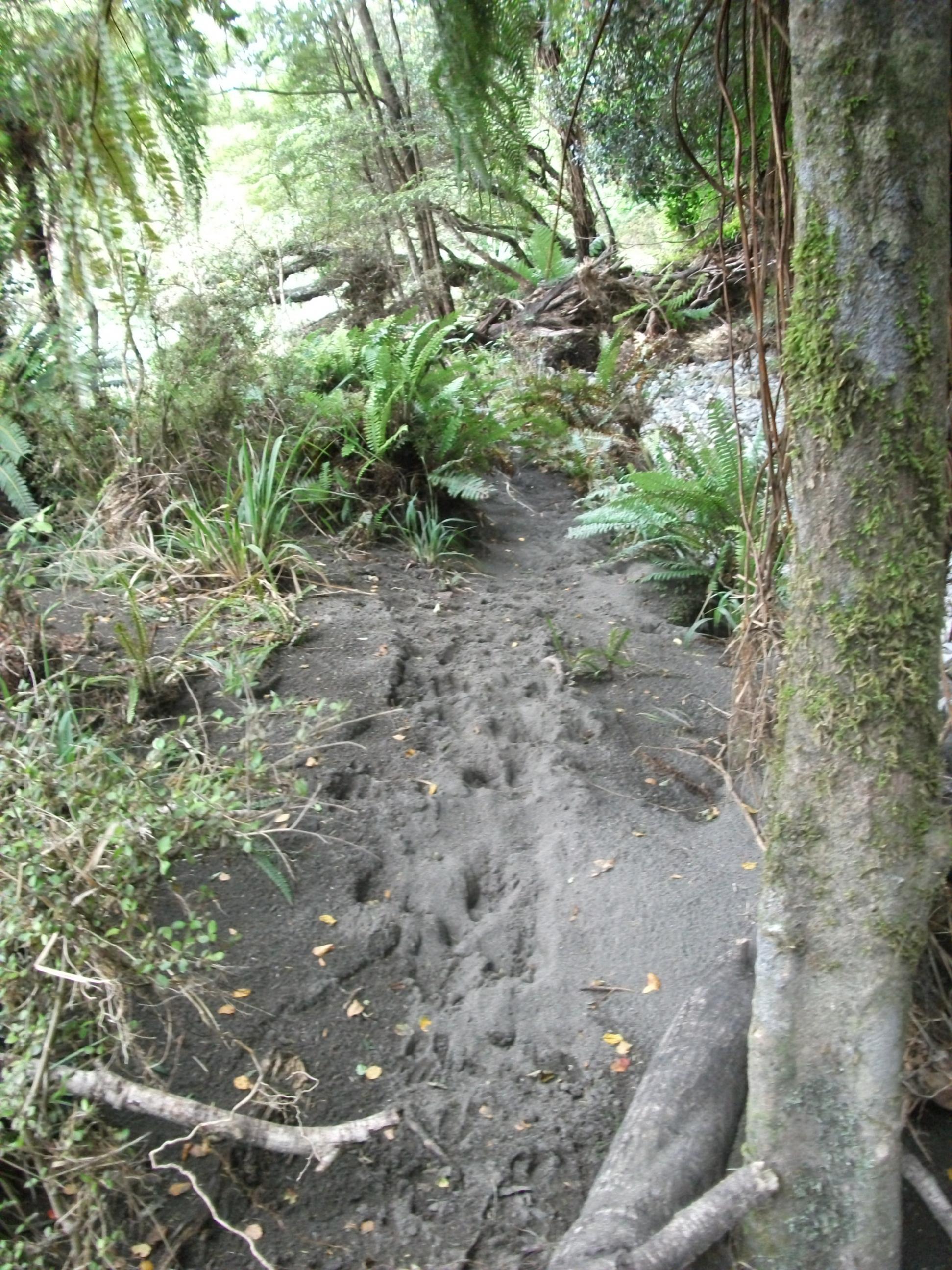 Name:  DSCF1167 - Bottom of Bull Mound Creek sign.jpg
Views: 1361
Size:  740.3 KB