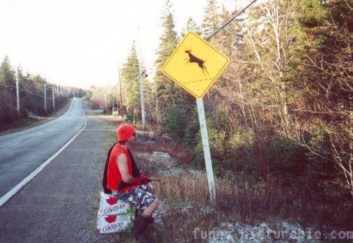 Name:  deer sign.jpg
Views: 1663
Size:  34.8 KB