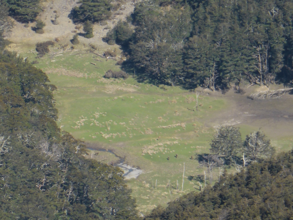Name:  Hagley Park.jpg
Views: 942
Size:  436.7 KB