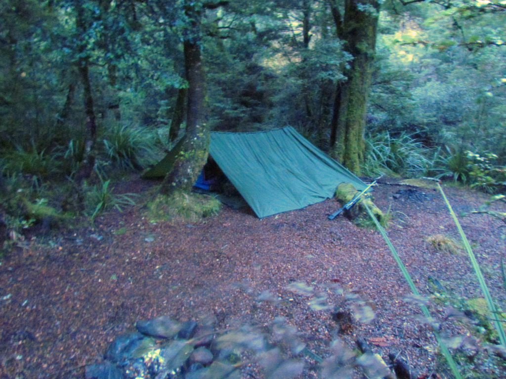 Name:  tikitikflycamp.JPG
Views: 522
Size:  382.8 KB