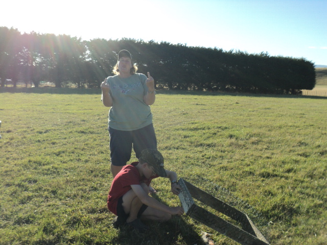 Name:  picture 3225.jpg
Views: 588
Size:  164.6 KB