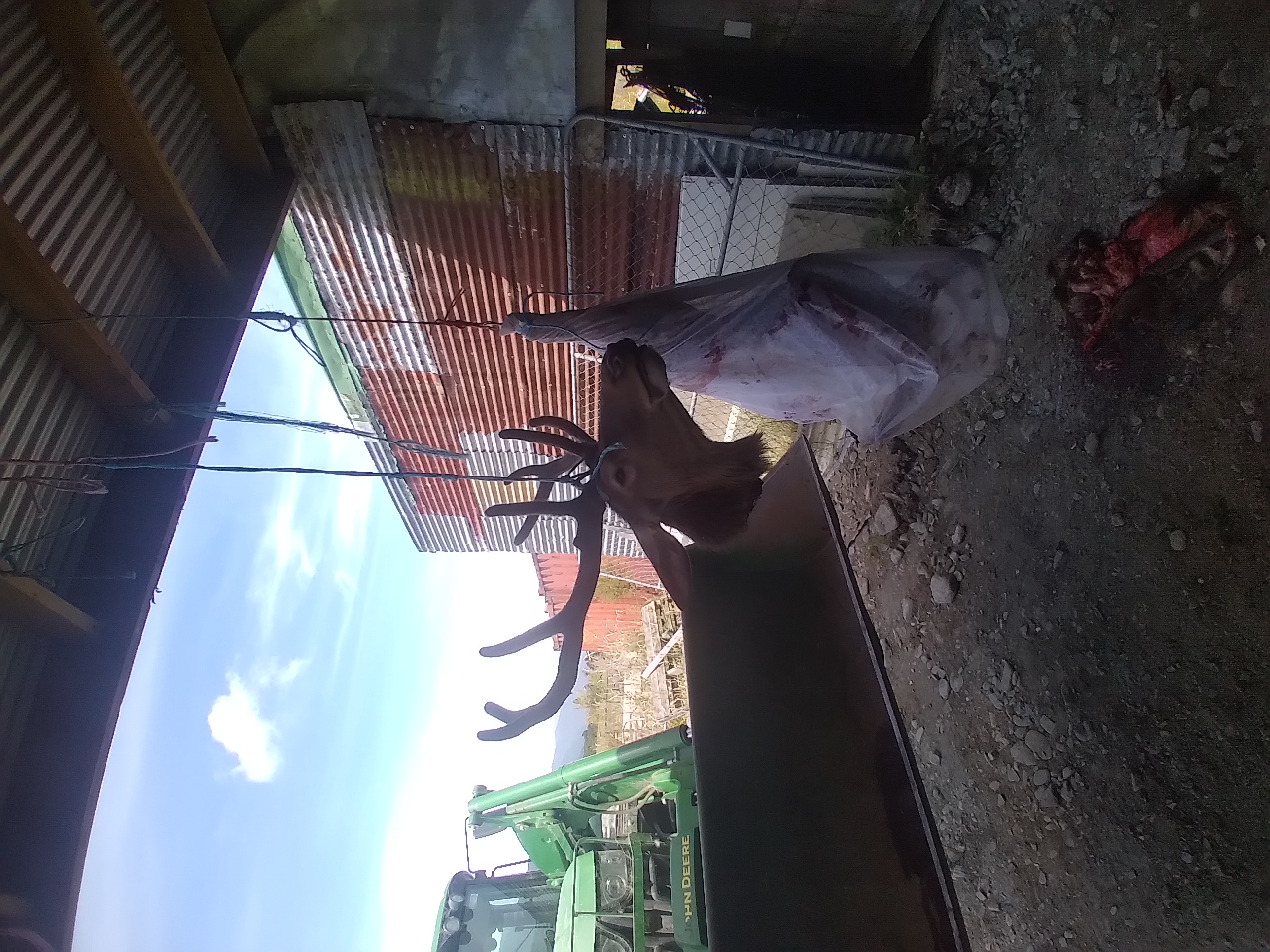 Name:  20230101_121421.jpg
Views: 152
Size:  1.59 MB