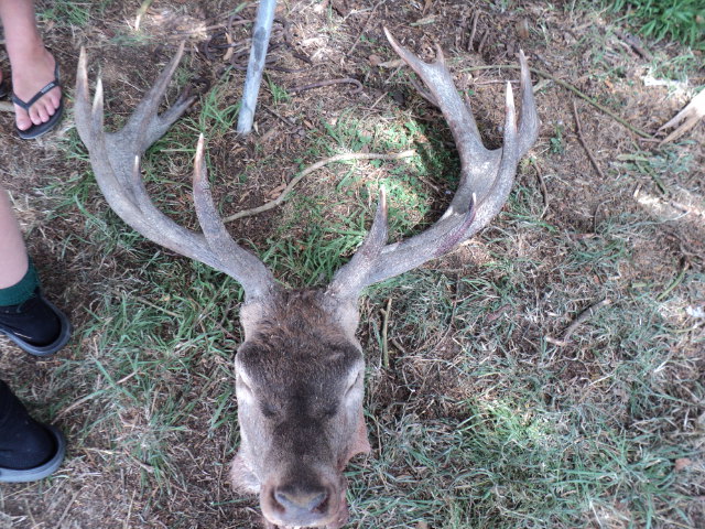 Name:  picture 3234.jpg
Views: 436
Size:  164.5 KB