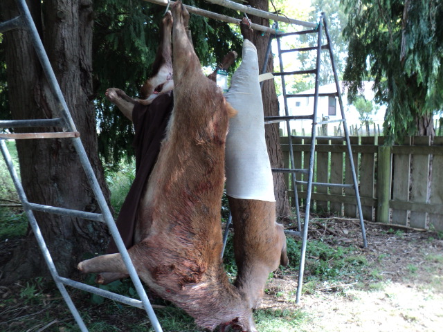 Name:  picture 3235.jpg
Views: 496
Size:  162.8 KB