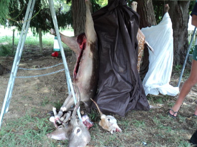Name:  picture 3236.jpg
Views: 398
Size:  164.5 KB