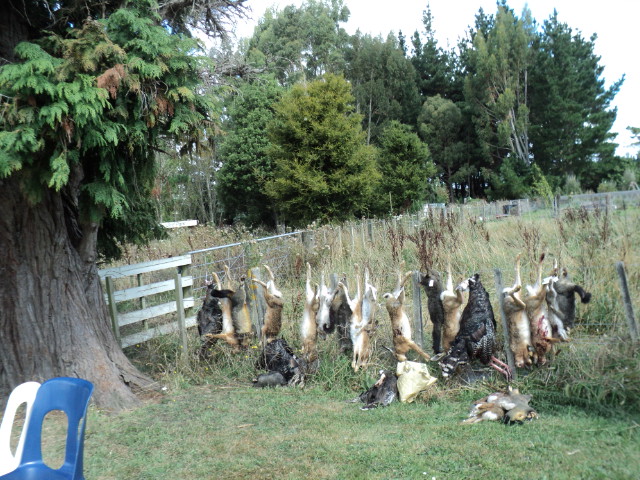 Name:  picture 3244.jpg
Views: 447
Size:  164.7 KB