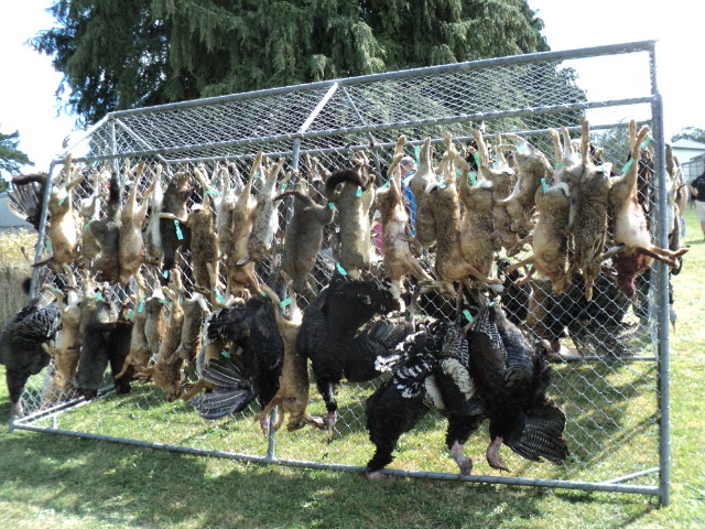 Name:  picture 3245.jpg
Views: 425
Size:  163.1 KB
