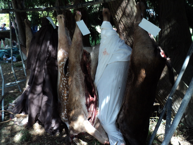Name:  picture 3250.jpg
Views: 381
Size:  164.9 KB