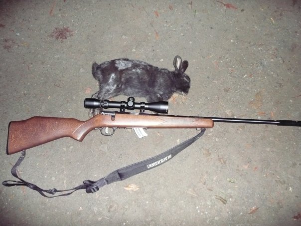 Name:  blkbunny.jpg
Views: 824
Size:  59.3 KB