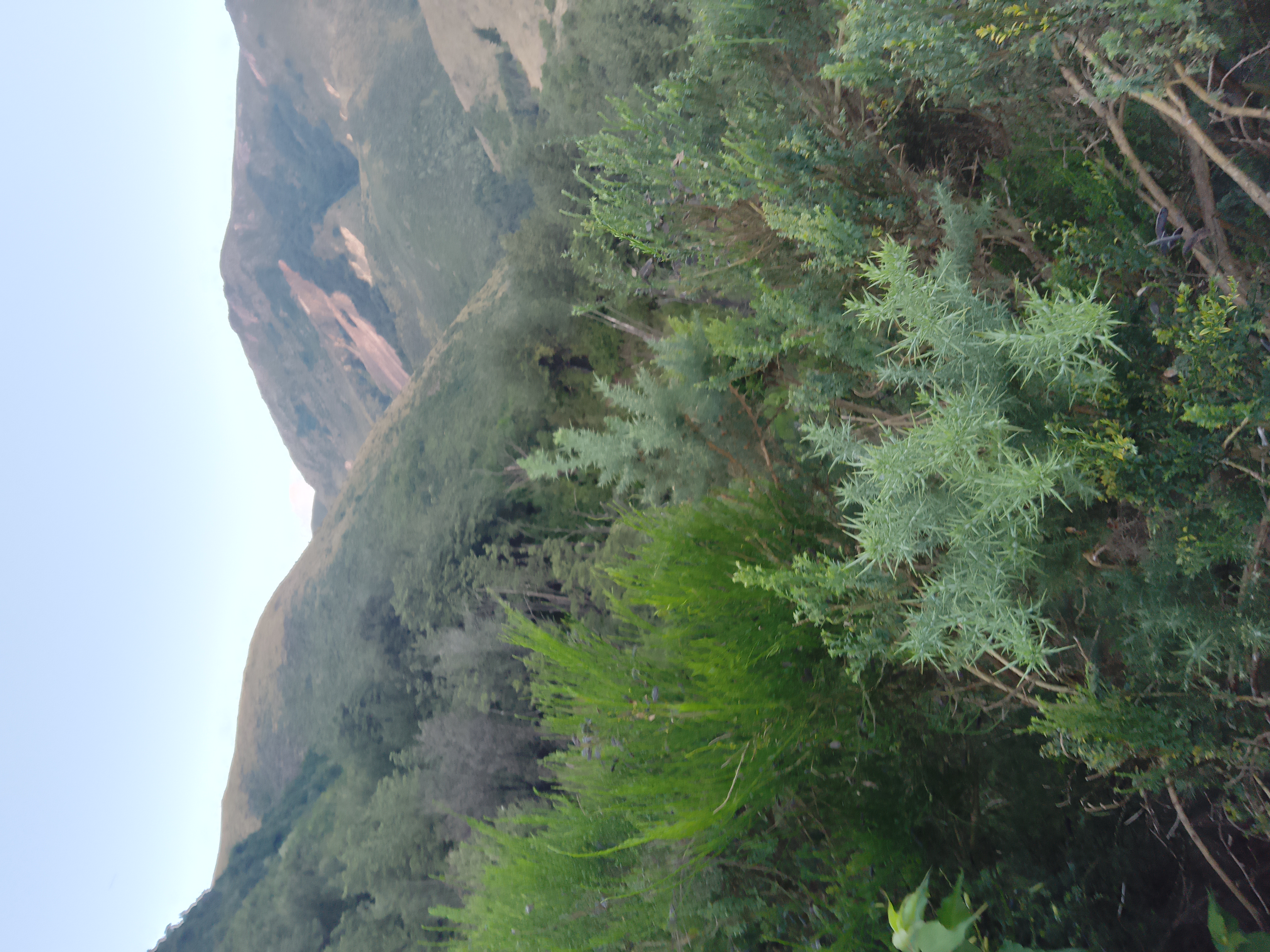 Name:  IMG_20230205_203817.jpg
Views: 866
Size:  4.58 MB
