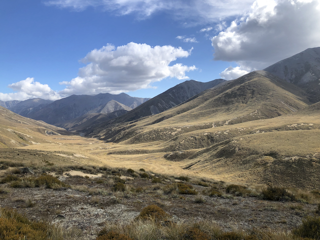 Name:  North Branch Ashburton 640.jpeg
Views: 386
Size:  408.8 KB