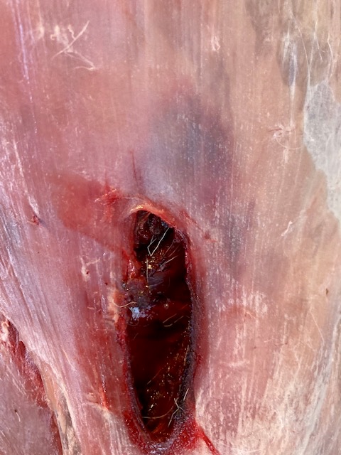 Name:  IMG_4955.jpg
Views: 709
Size:  120.5 KB