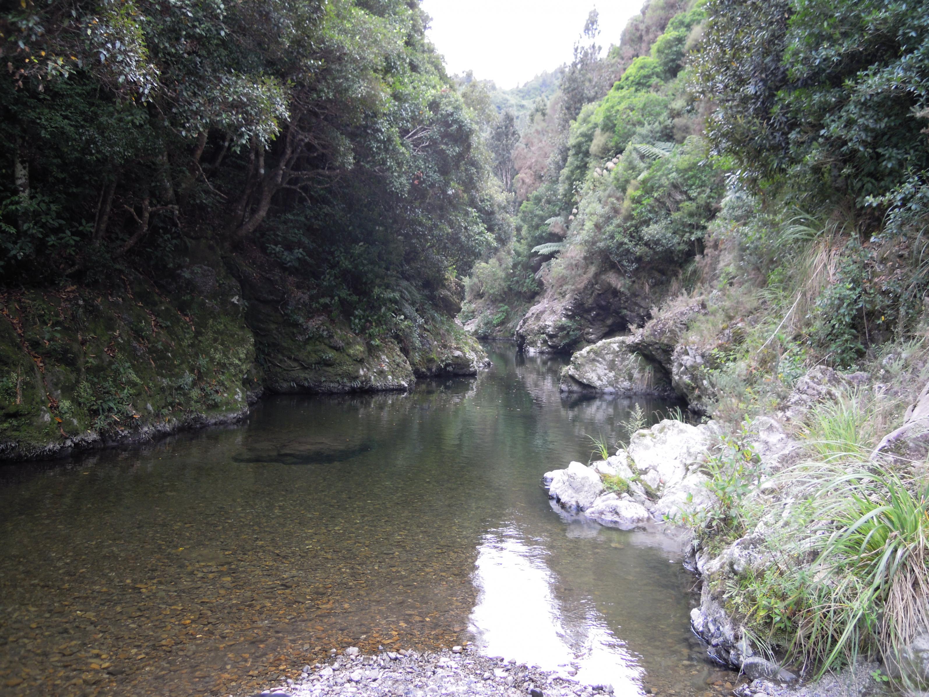 Name:  DSCN1144.jpg
Views: 503
Size:  1.06 MB