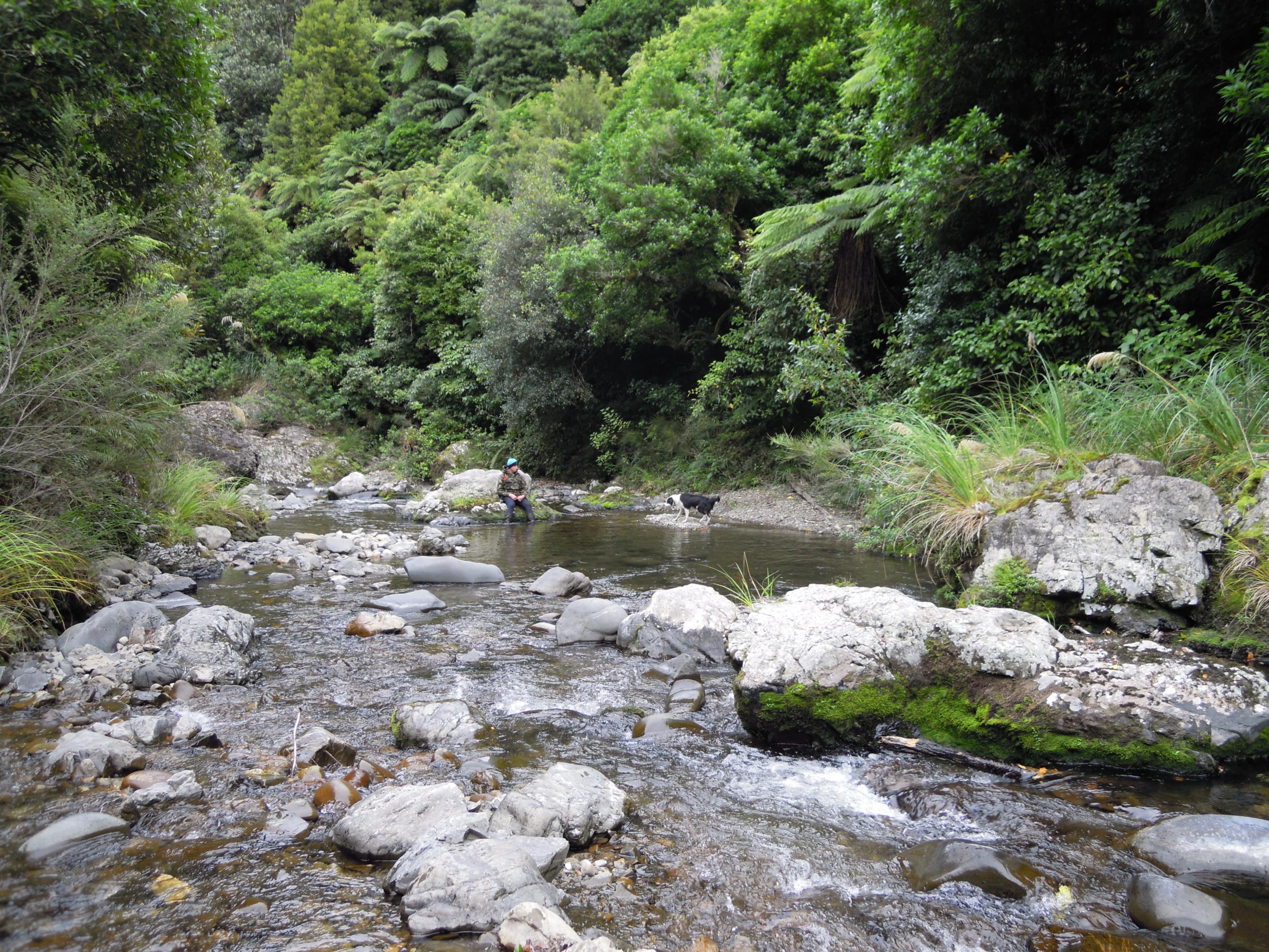 Name:  DSCN1155.jpg
Views: 507
Size:  1.13 MB