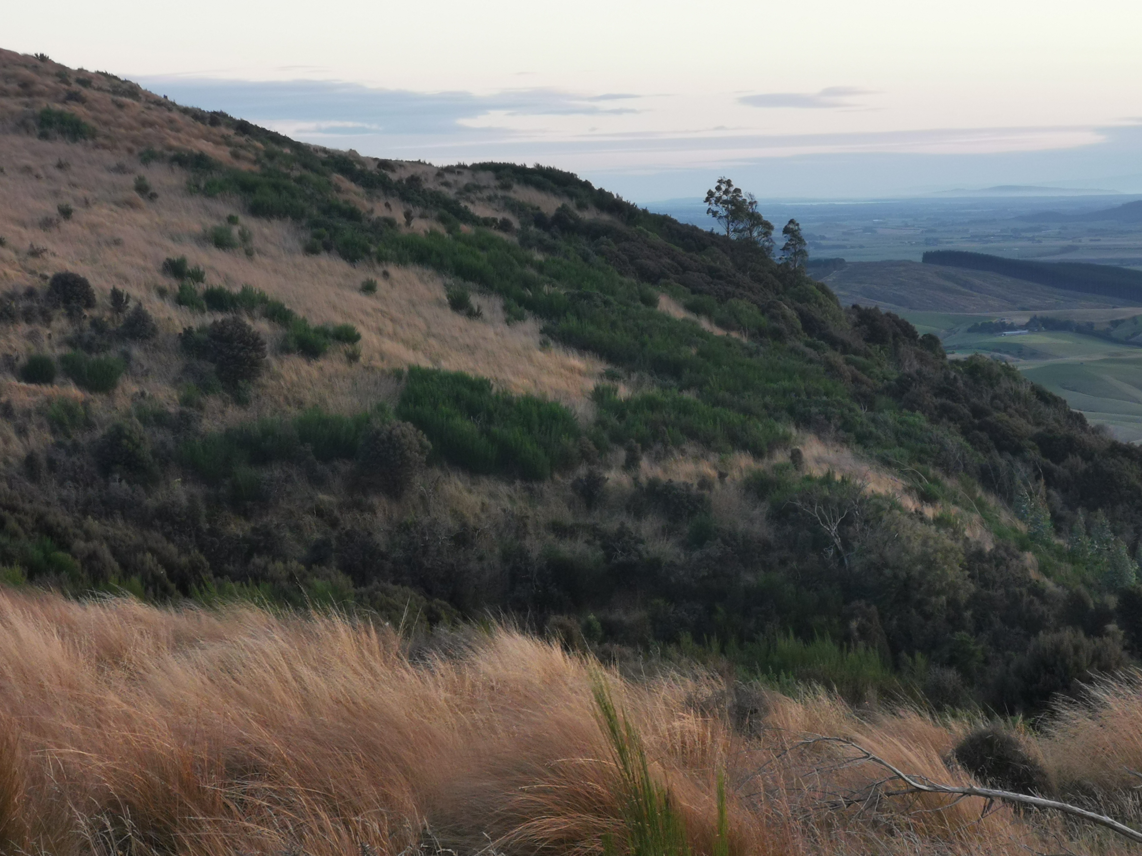 Name:  hill view.jpg
Views: 396
Size:  2.39 MB