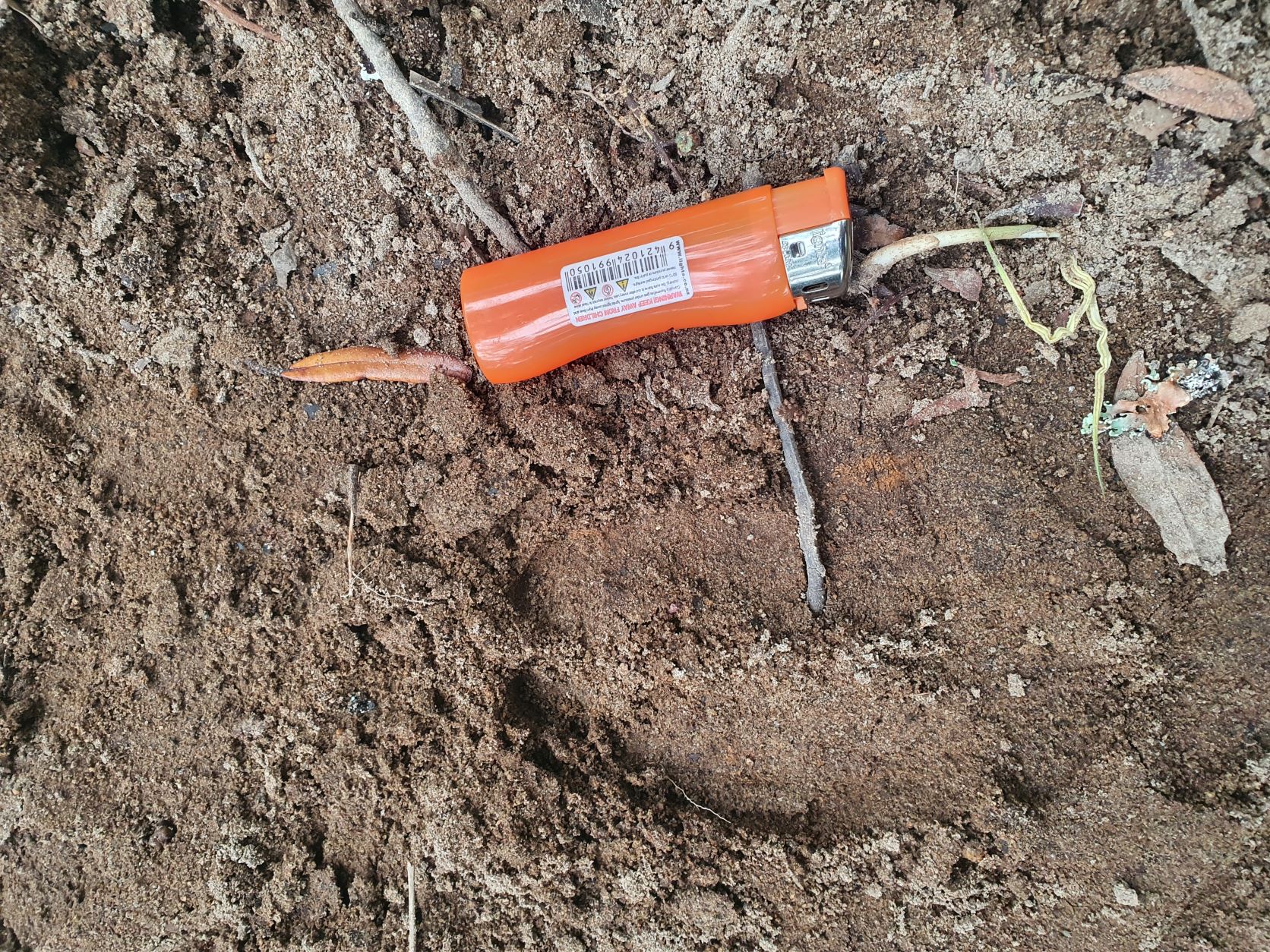 Name:  deer print.jpg
Views: 304
Size:  866.8 KB