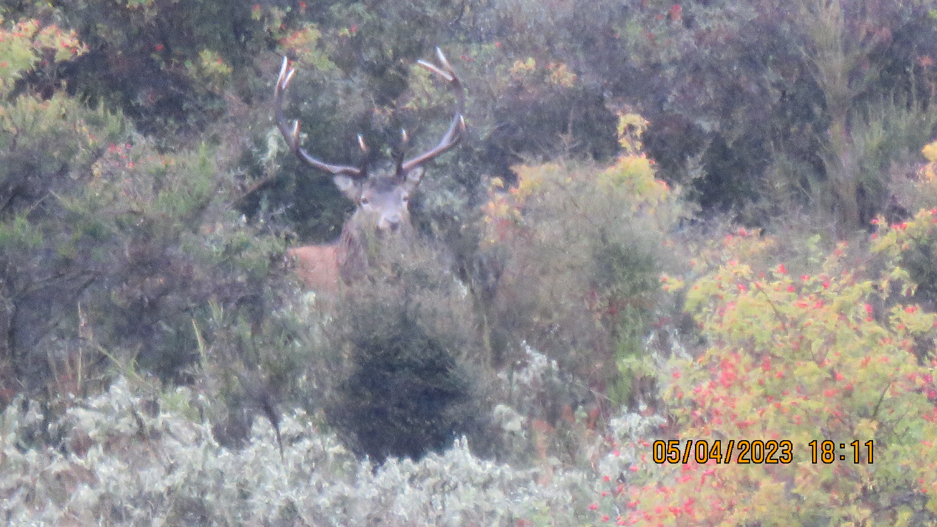 Name:  20230405181141.JPG
Views: 379
Size:  817.5 KB