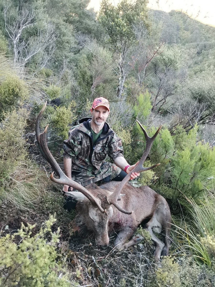 Name:  Big Ol' Ruahine 8pt Stag.jpg
Views: 921
Size:  1.21 MB
