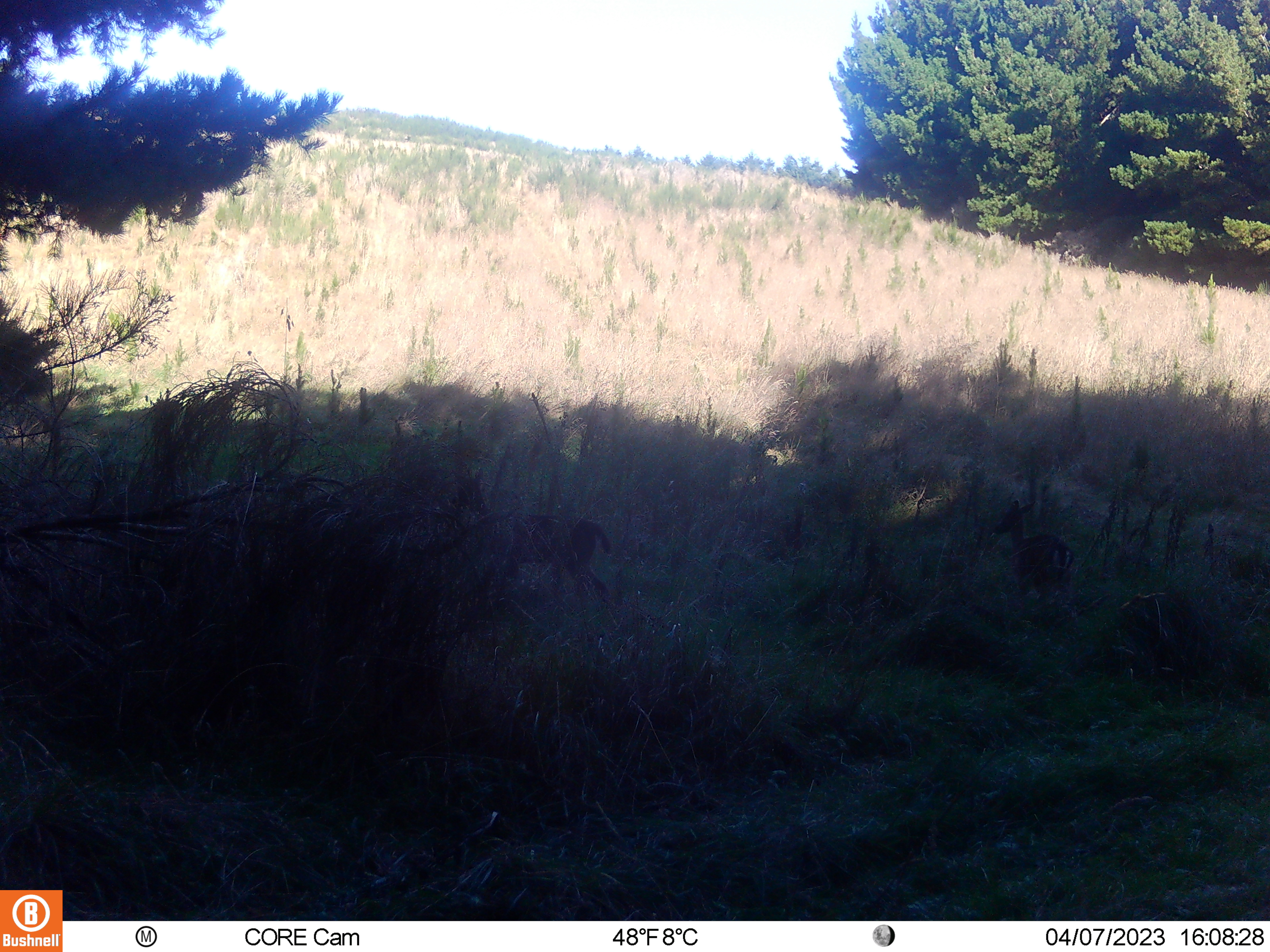 Name:  409.JPG
Views: 205
Size:  4.21 MB