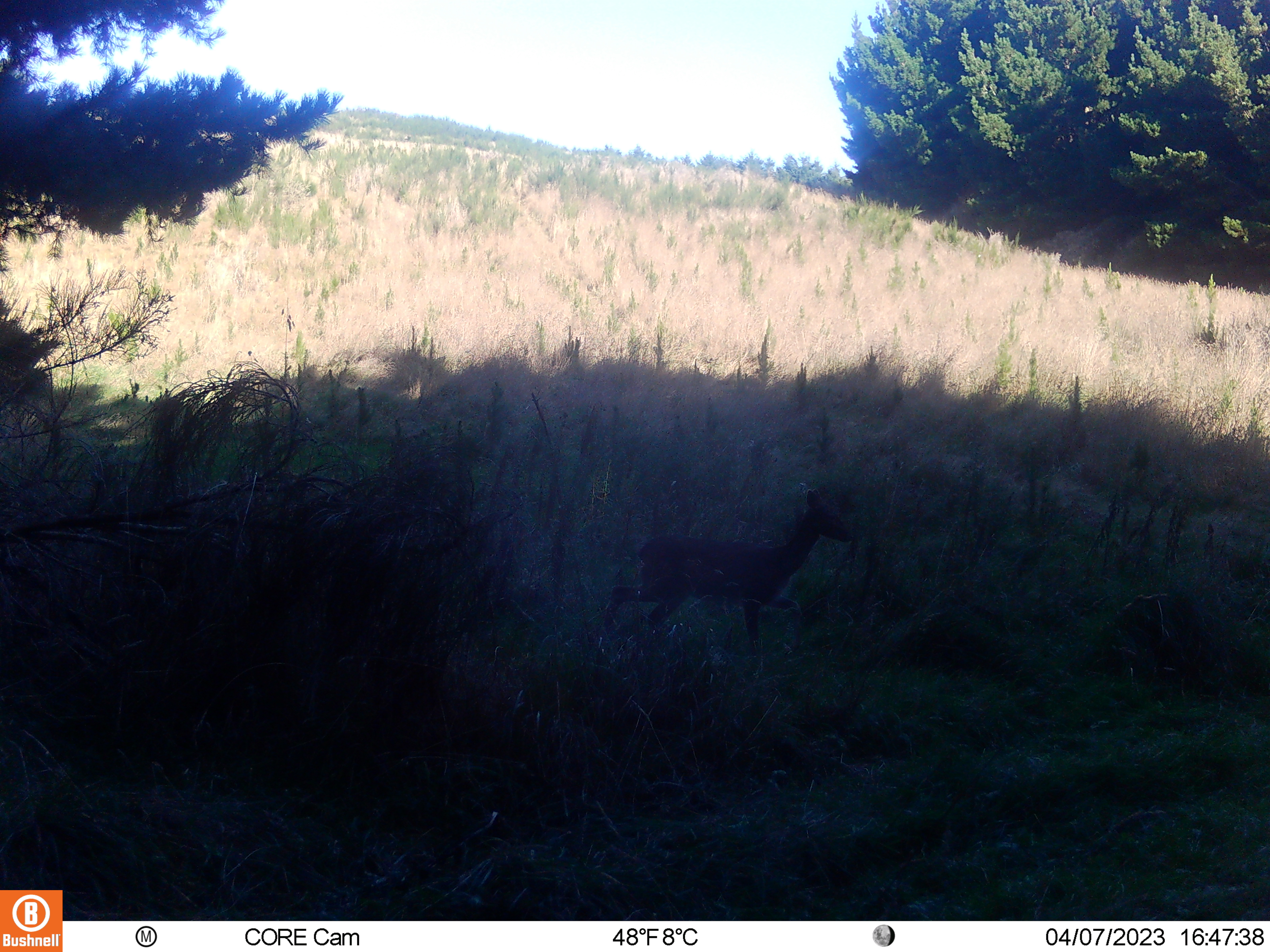 Name:  447.JPG
Views: 210
Size:  4.03 MB