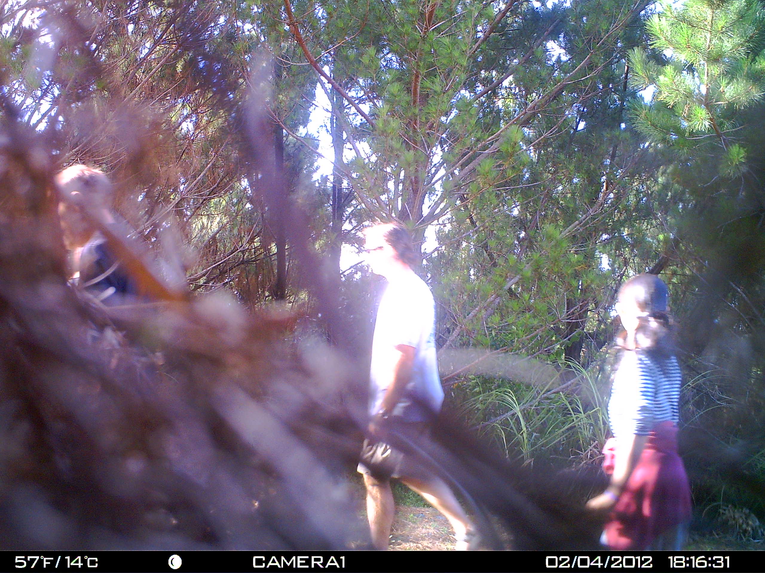 Name:  HUNT0063.JPG
Views: 451
Size:  578.9 KB
