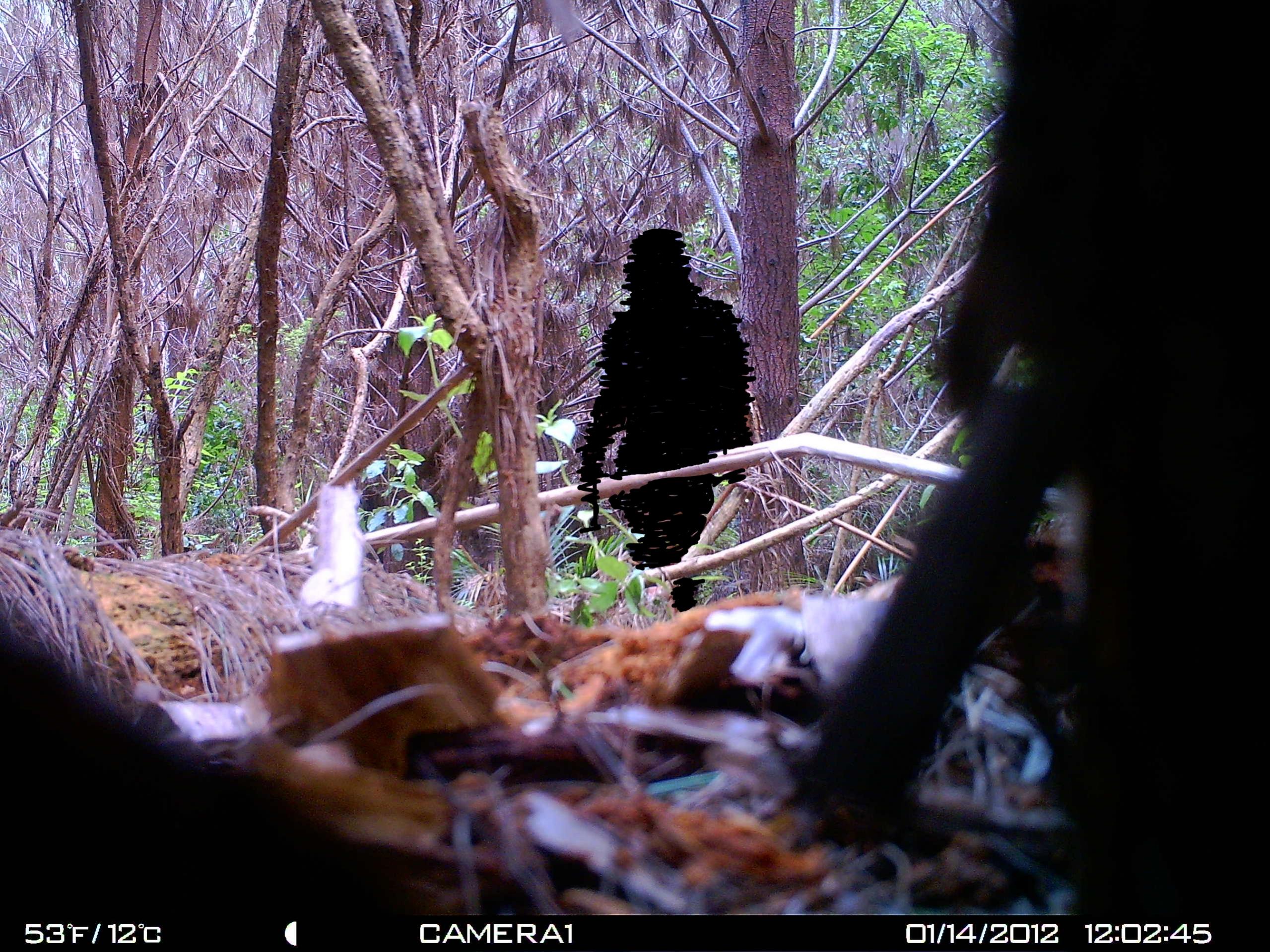 Name:  HUNT0041 (2).jpg
Views: 454
Size:  725.0 KB