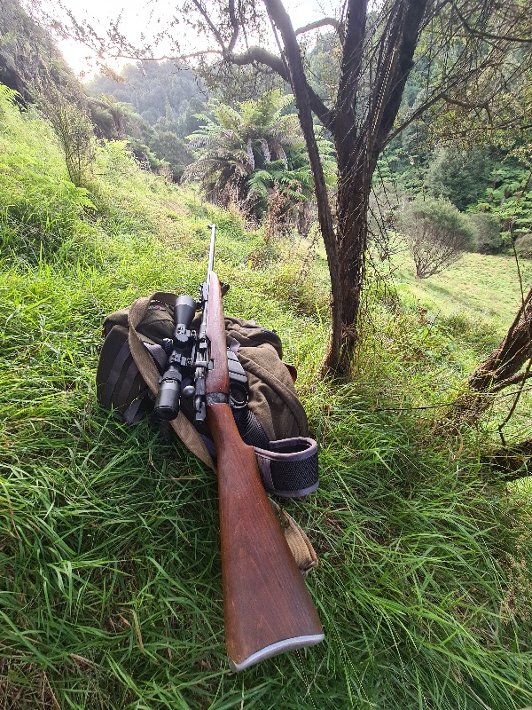 Name:  rifle.jpg
Views: 468
Size:  357.4 KB