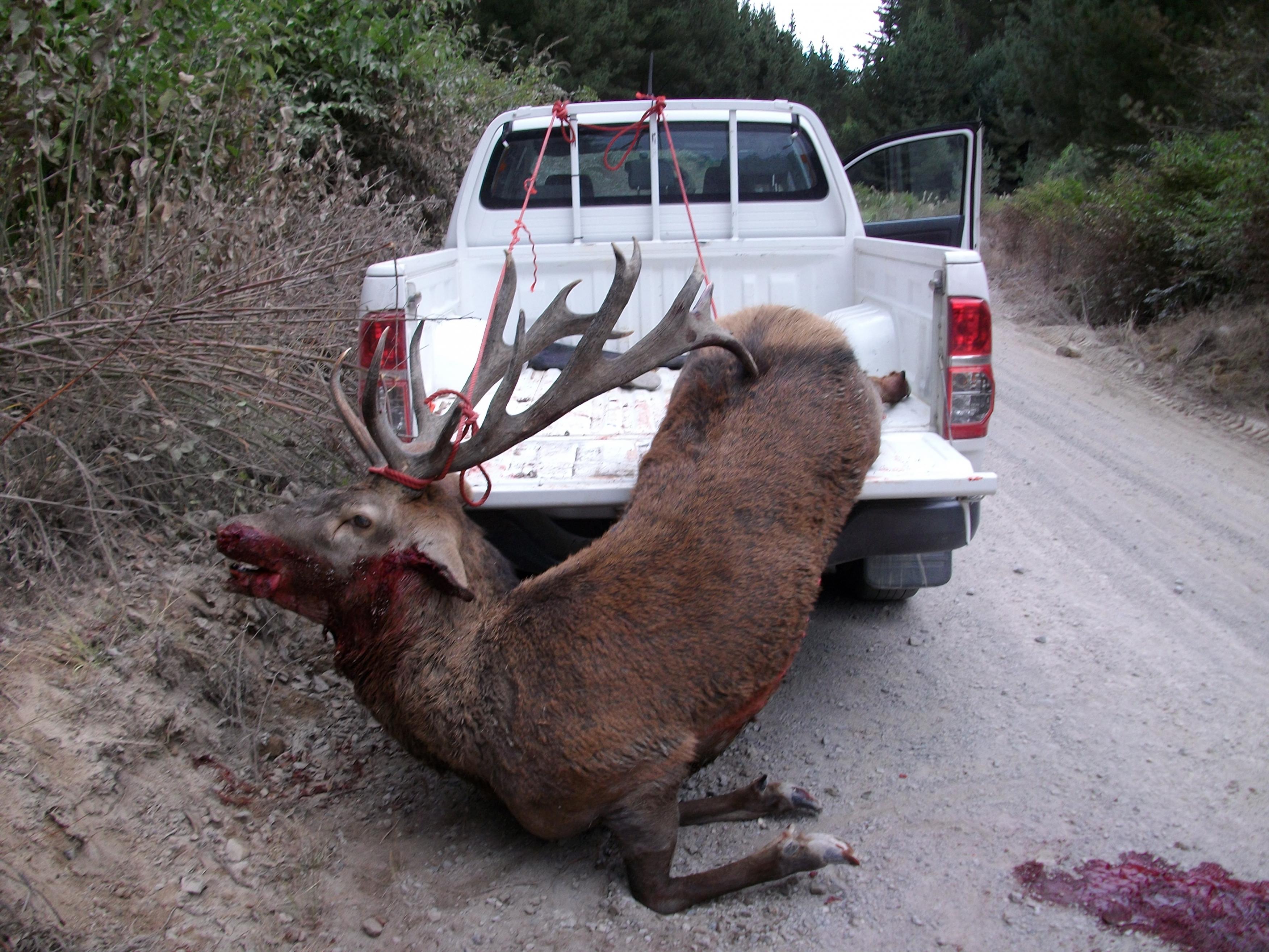 Name:  march14 007.jpg
Views: 2736
Size:  1.00 MB